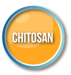 chitosan trong keto slim
